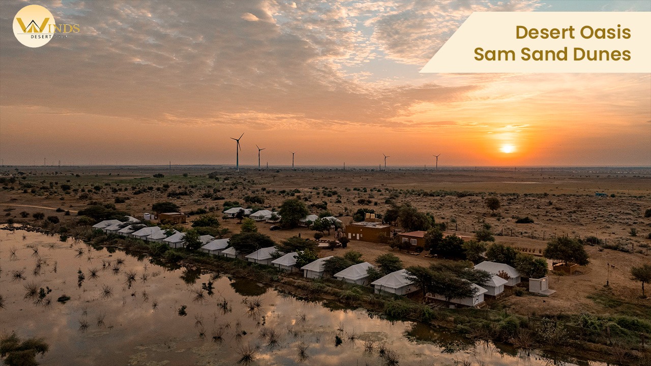 Desert Oasis Sam Sand